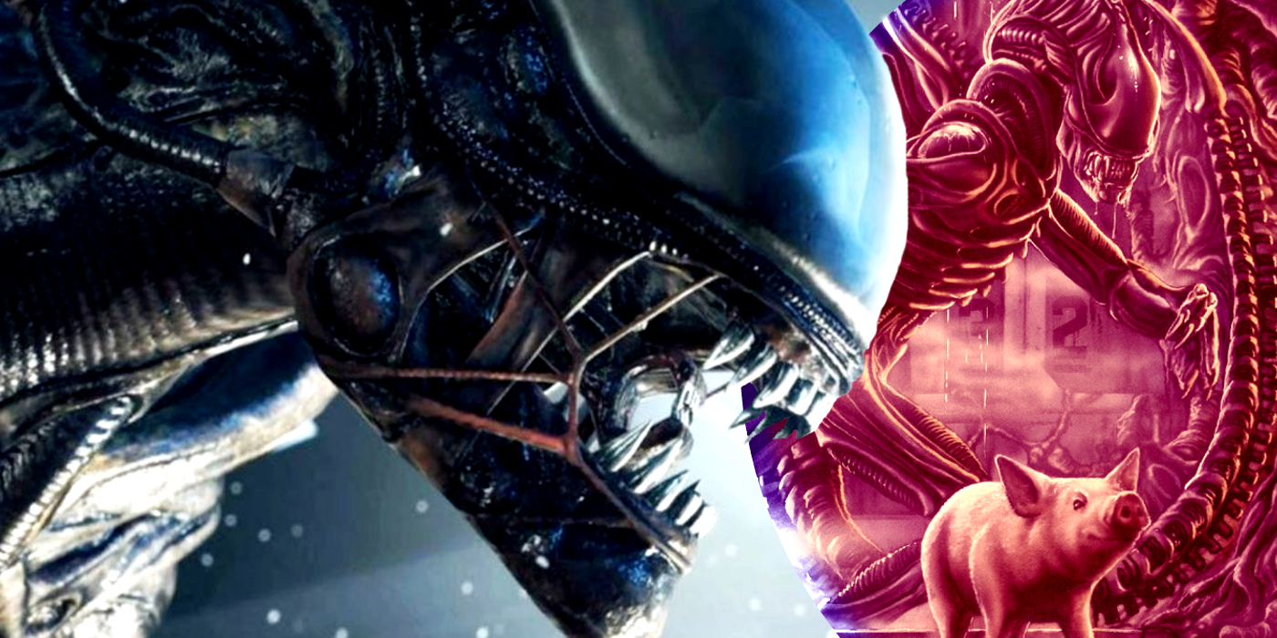 Los instintos depredadores de los xenomorfos confirmados por Alien son su kryptonita