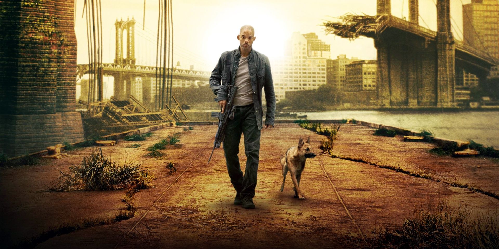 New I Am Legend Movie Or Show Being Developed By Warner Bros