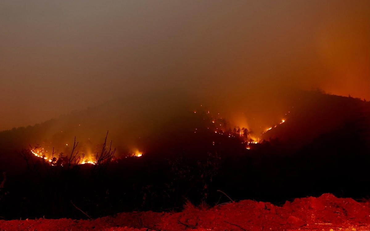 Prevén que incendios forestales extremos aumenten 30% para finales de 2050