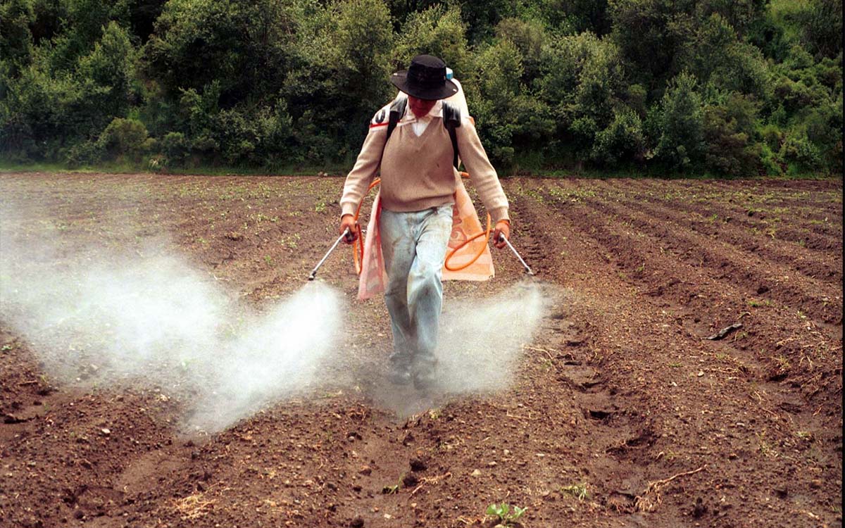 Prohíben en México el uso de plaguicidas altamente peligrosos