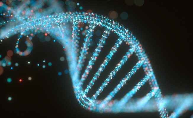 Senti Bio recauda $105 millones para su nueva plataforma de biología programable y terapias contra el cáncer