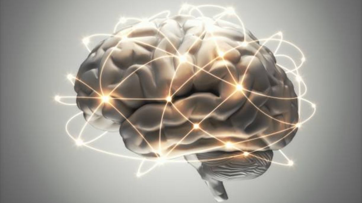 Un estudio revela que el cerebro comienza su deterioro a los 45 años
