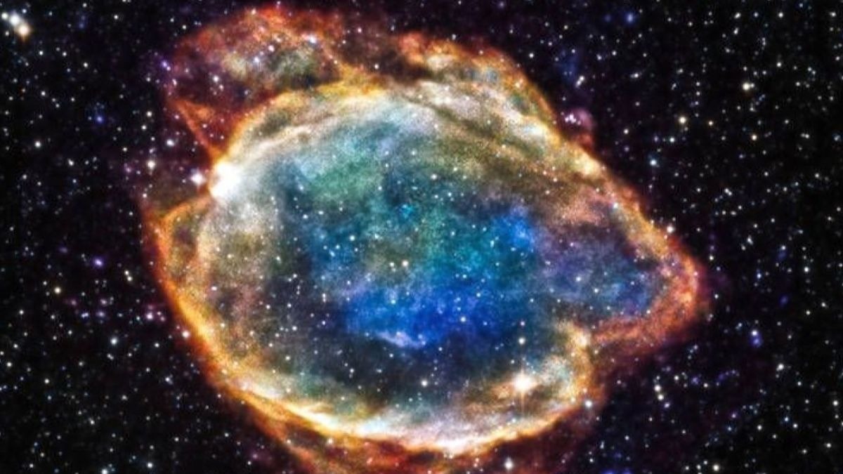 Una Supernova provocó la desaparición del 83% de las especies hace 359 millones de años