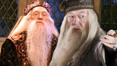 ¿Por qué Harry Potter reformuló a Dumbledore después de la Cámara de los Secretos?