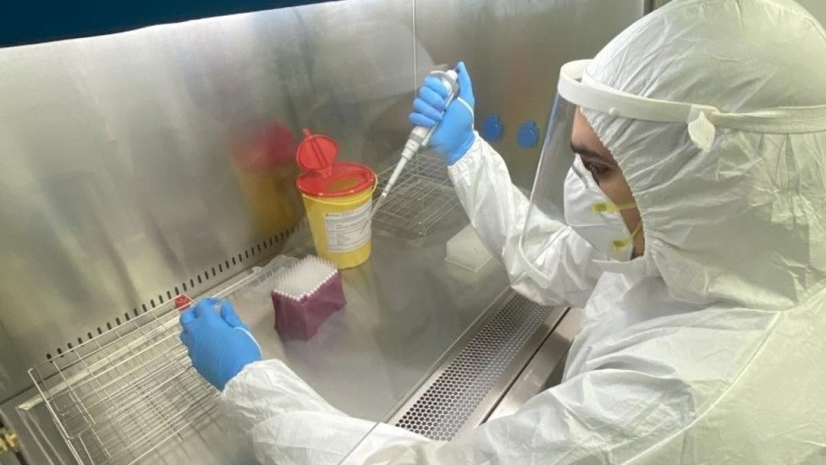 ¿Qué es el Chapare? Un virus similar al ébola que se ha detectado en Bolivia