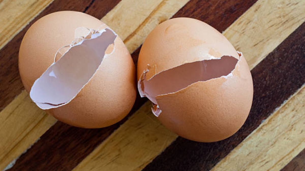 ¿Qué nos puede pasar si comemos un trozo de cáscara de huevo?