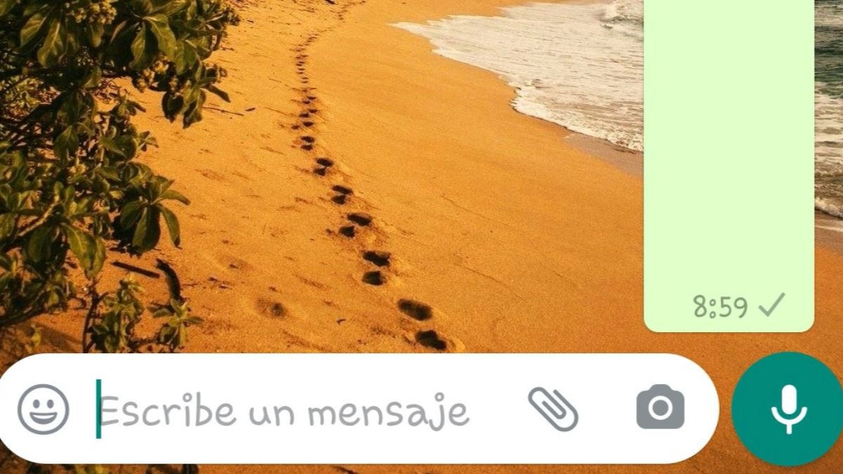 ¿Sabes cómo enviar mensajes invisibles en WhatsApp?