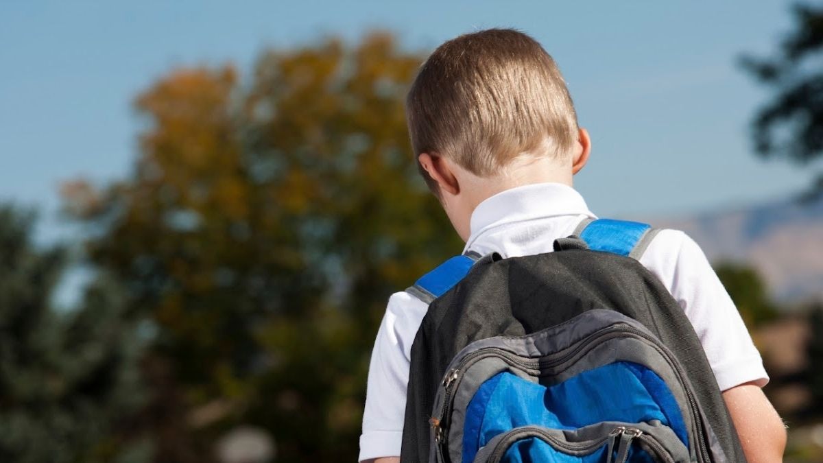 ¿qué pasaría si decides no llevar a tus hijos al colegio?