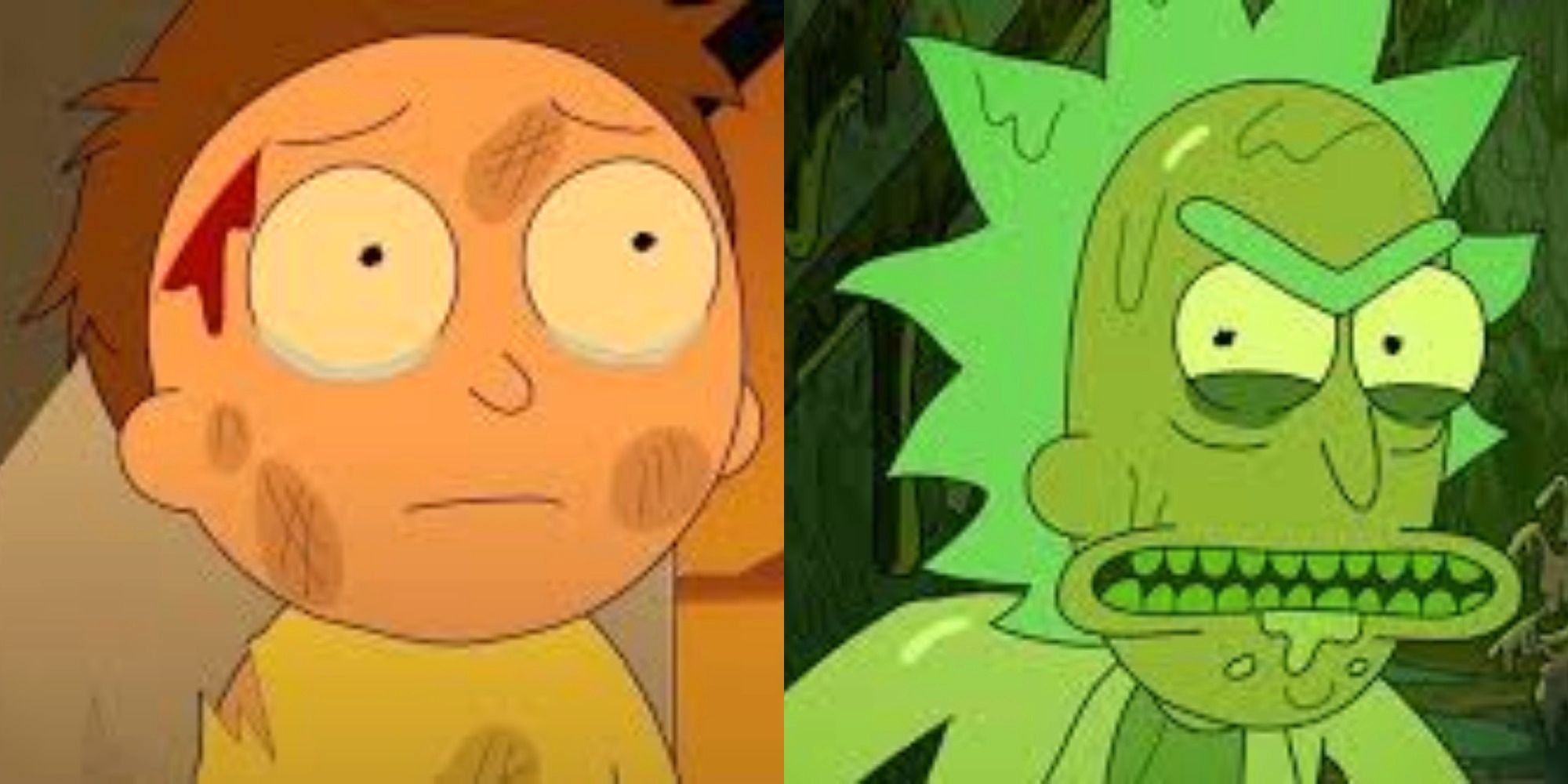 10 chistes de Rick & Morty que resumen completamente la perspectiva del programa
