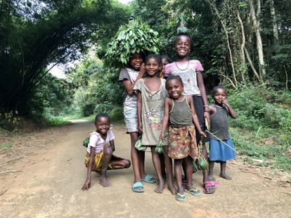 Unos niños regresan a casa tras recoger comida en los bosques aledaños al río Aruwimi, en el norte de la RDC. Llevan hojas de casava, frutas y orugas envueltas en paquetes de hojas de plátano. En la cuenca del Congo, millones de personas dependen del bosque.