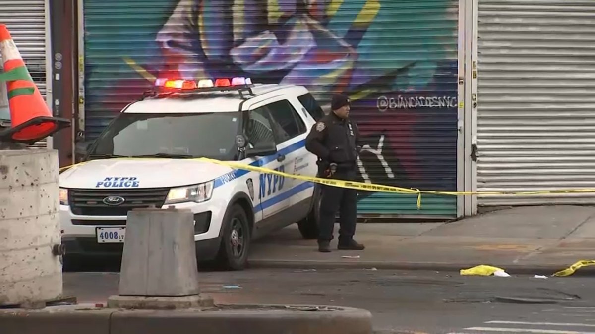 Médico forense revela la causa de muerte de la víctima de presunta asesina en serie en NYC