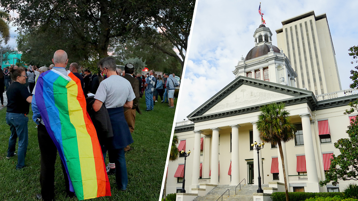 Senado de Florida aprueba polémico proyecto de ley conocido como “No digas gay”
