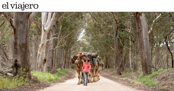 La aventura de Sophie Matterson: cruzar Australia de costa a costa con cinco camellos
