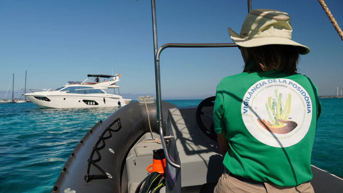 Los guardianes de la posidonia en las islas Baleares