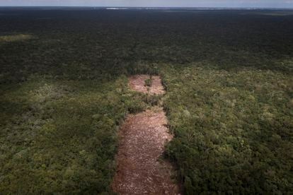 Vista aérea de la deforestación en la selva para construir las vías del tramo 5 del Tren Maya a la altura de Playa del Carmen, el 2 de marzo.