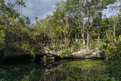 El cenote de Nicte Ha, que da acceso al sistema de cuevas sumergidas más grande del mundo, Sac Actún.