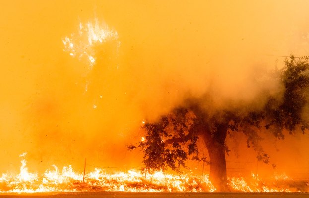 A medida que arde el oeste de EE. UU., un servicio de monitoreo de captura de carbono forestal obtiene efectivo del fondo respaldado por Amazon y Bill Gates