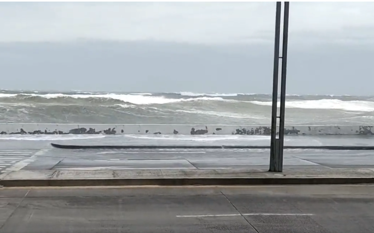 Activan alerta gris en Veracruz por frente frío; ‘Norte’ golpeará la costa | Video