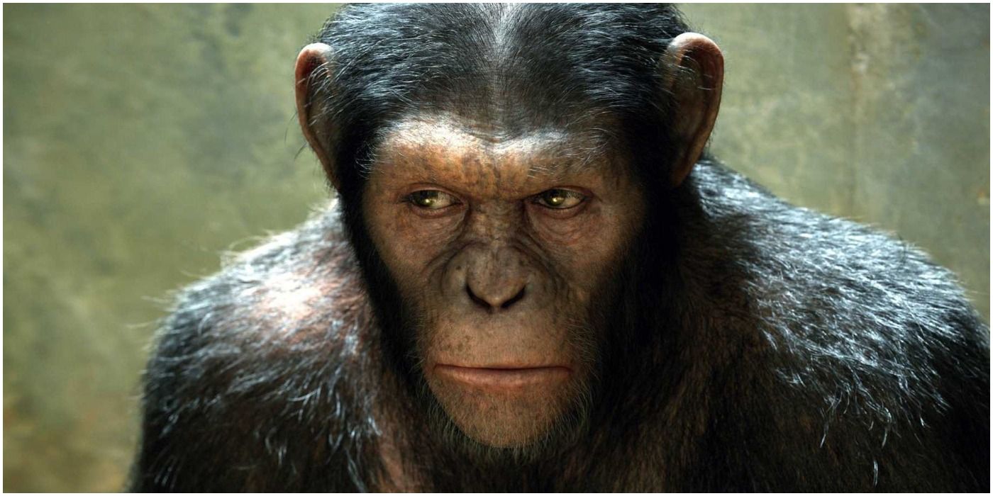 Actualización de la filmación de Planet of the Apes 4 proporcionada por el presidente de 20th Century