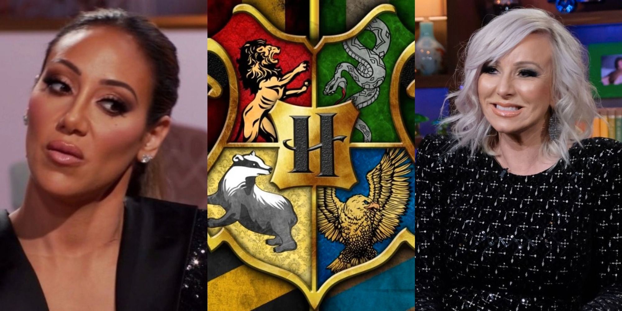 Amas de casa reales de Nueva Jersey clasificadas en sus casas de Hogwarts