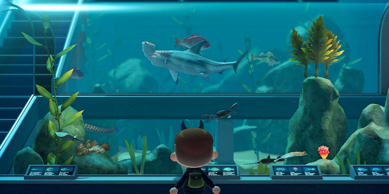 Animal Crossing: todo lo nuevo en marzo de 2022 (bichos, peces, artículos)
