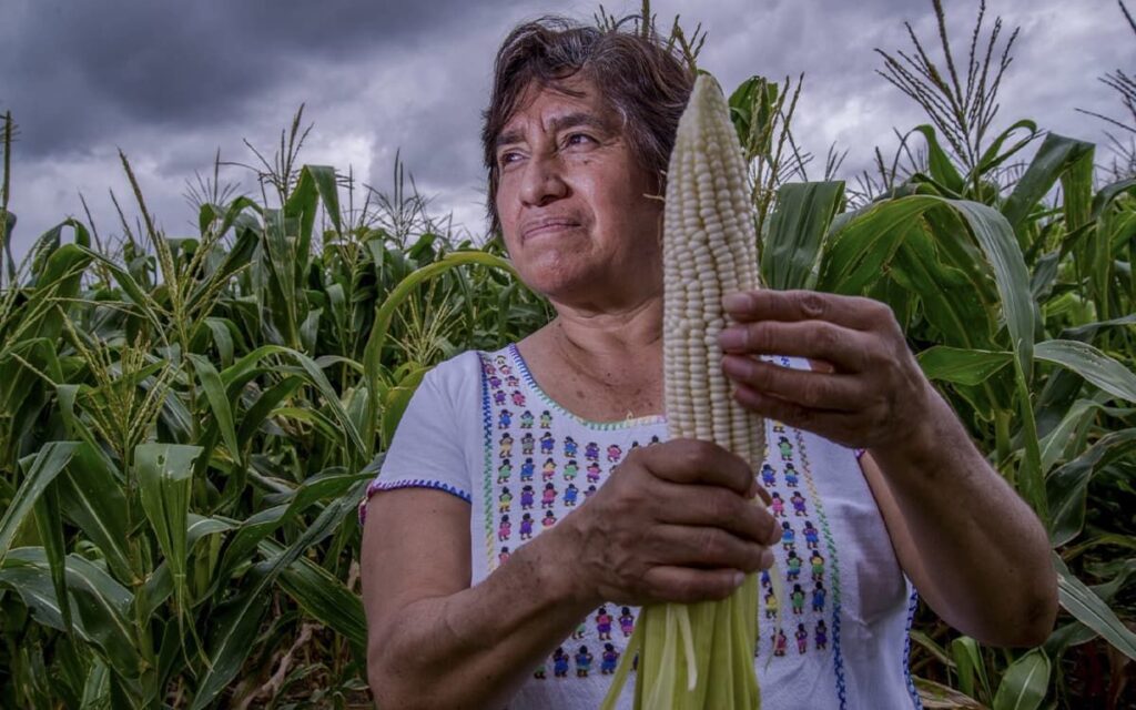 Campesinas producen 50% de los alimentos, pero solo poseen 25% de la tierra