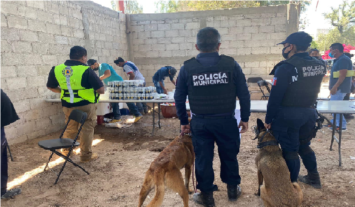 Clausuran otra pelea clandestina de gallos en Pedro Escobedo, ahora en Noria Nueva, polis se roban cerveza