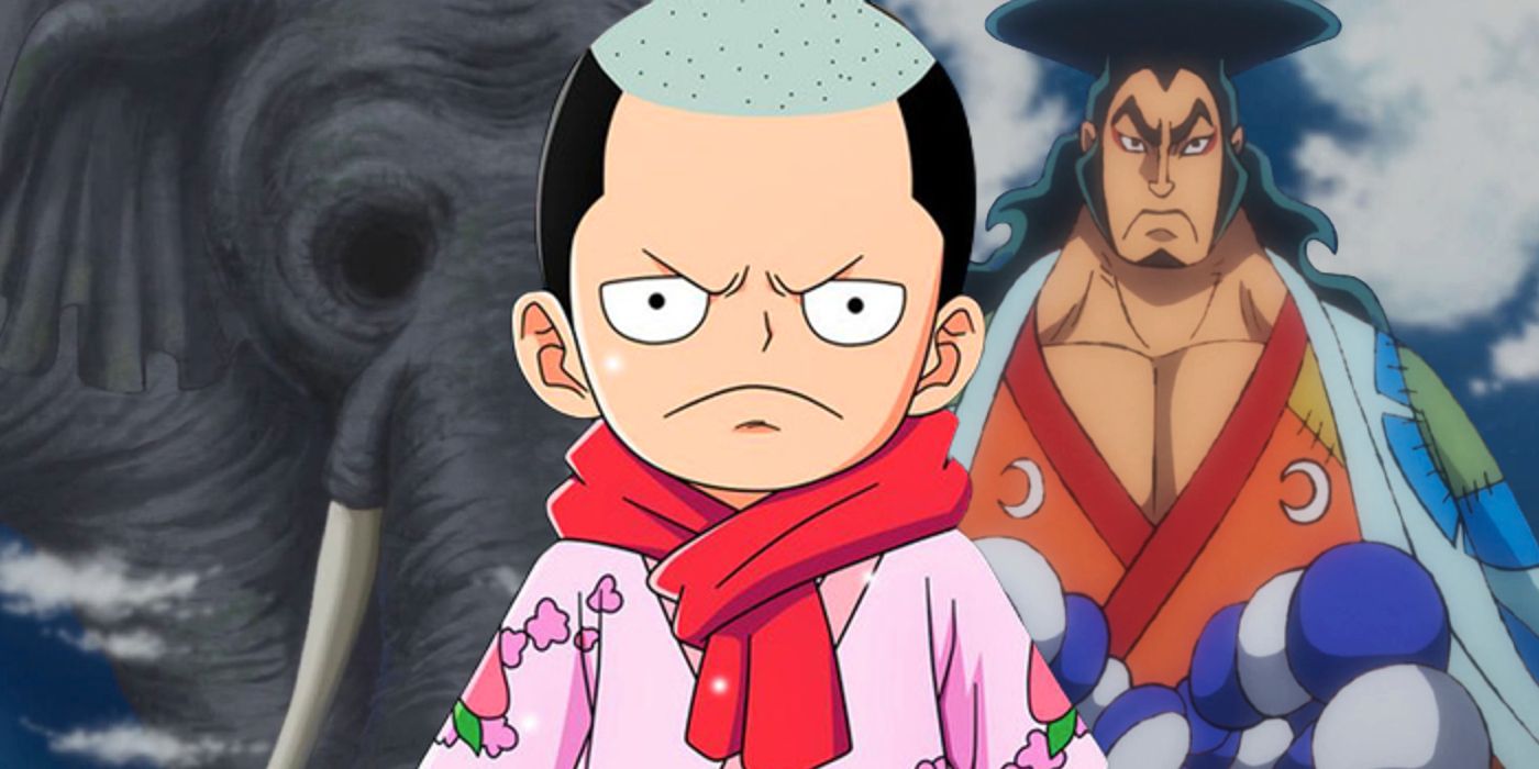 El misterio de Joy Boy de One Piece está conectado a un personaje sorprendente