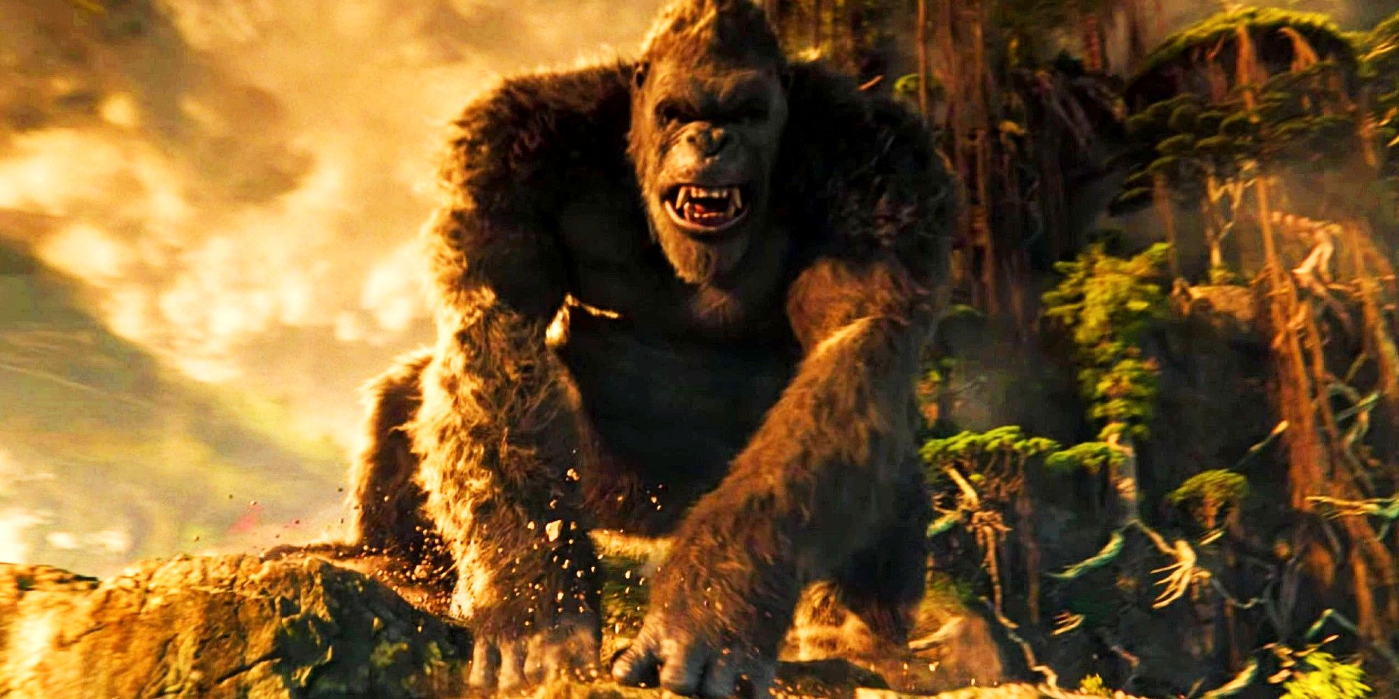 El título provisional de Godzilla vs Kong Sequel supuestamente se revela como Son of Kong