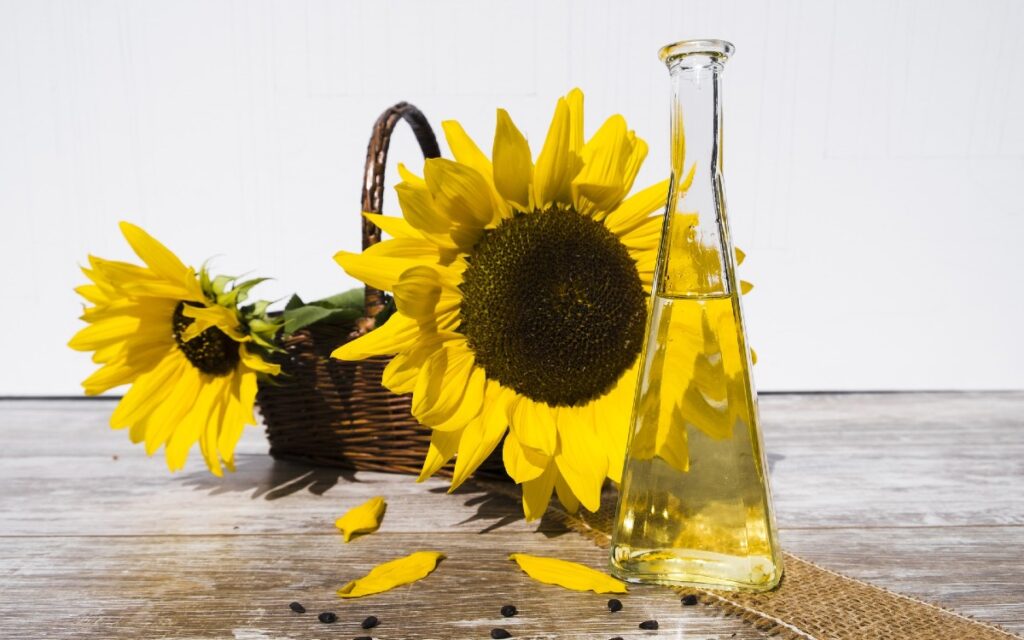 Grecia dice que puede aumentar la producción de aceite de girasol, si es necesario