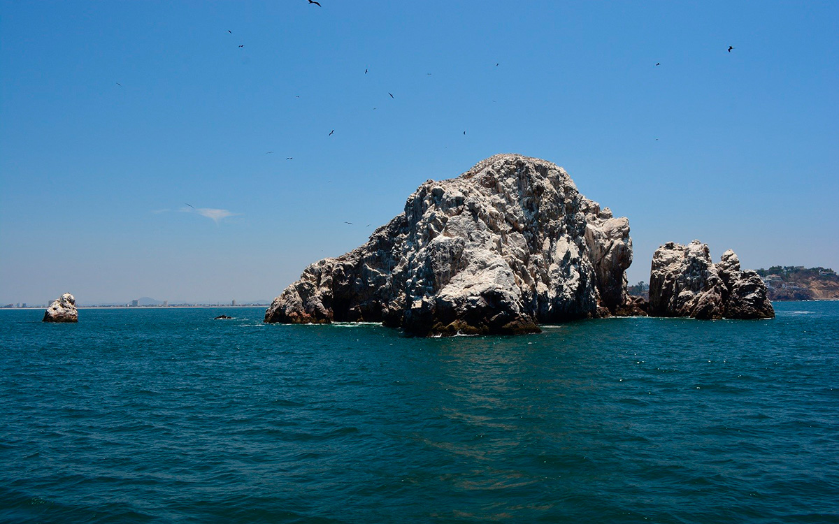 La Bahía de Mazatlán se está sobrecalentando; ecosistema y especies en riesgo | Video