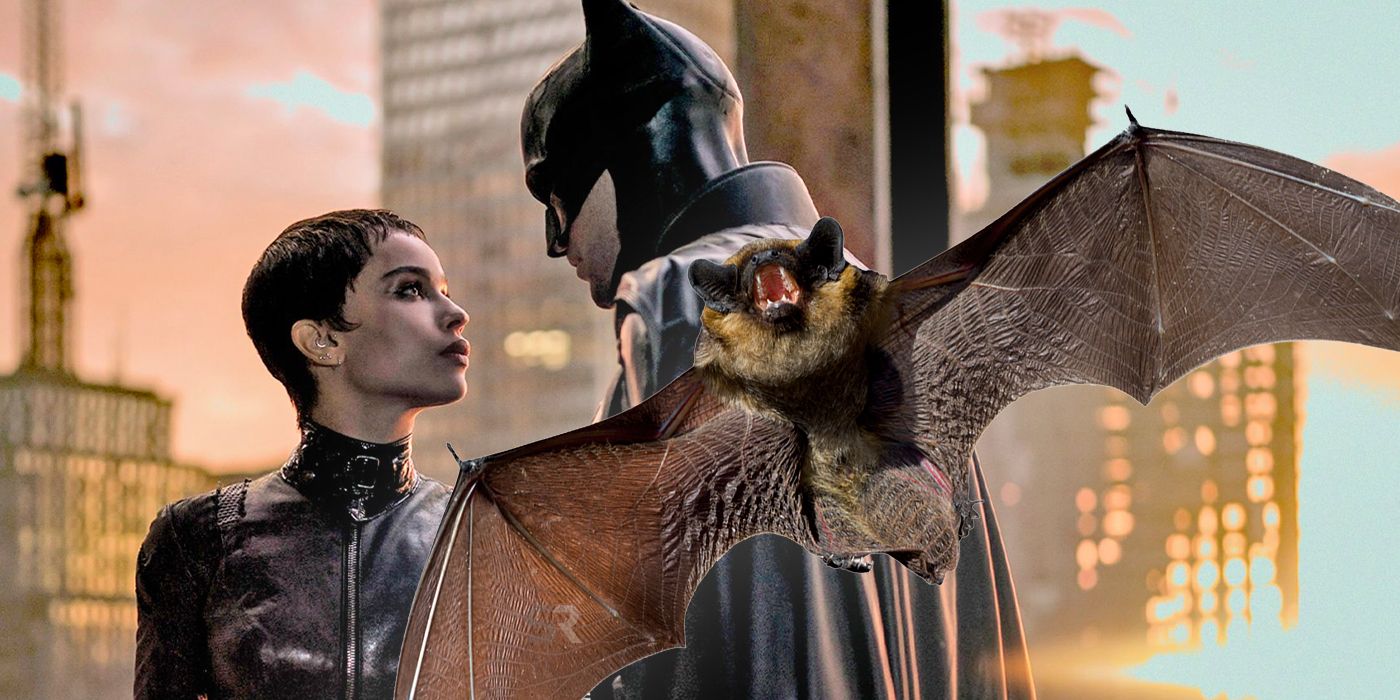 La proyección de Batman interrumpida por murciélagos reales en el teatro