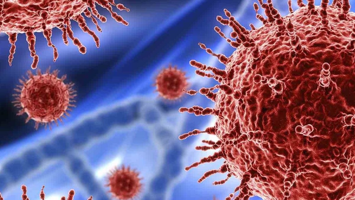 Las 3 teorías que existen sobre el origen del coronavirus