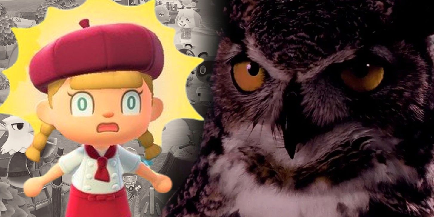 Los búhos de Animal Crossing no son lo que parecen en Twin Peaks Meme Video