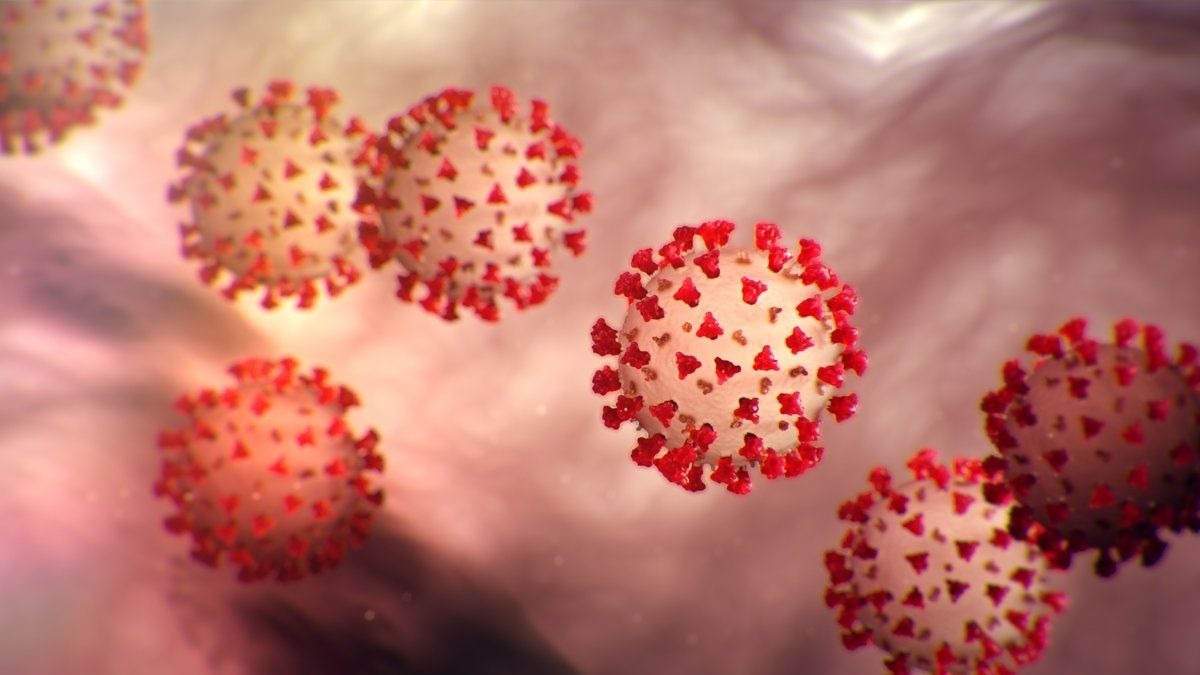 Los expertos advierten de las peligrosas fiestas del coronavirus