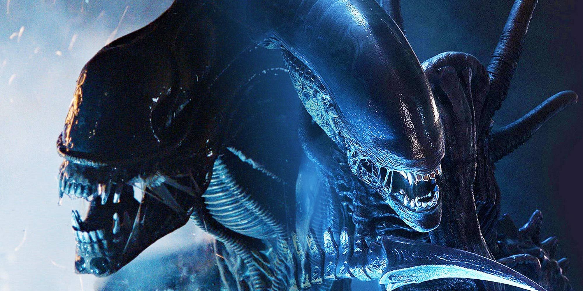 Nueva película de Alien 5 en desarrollo con Ridley Scott para producir