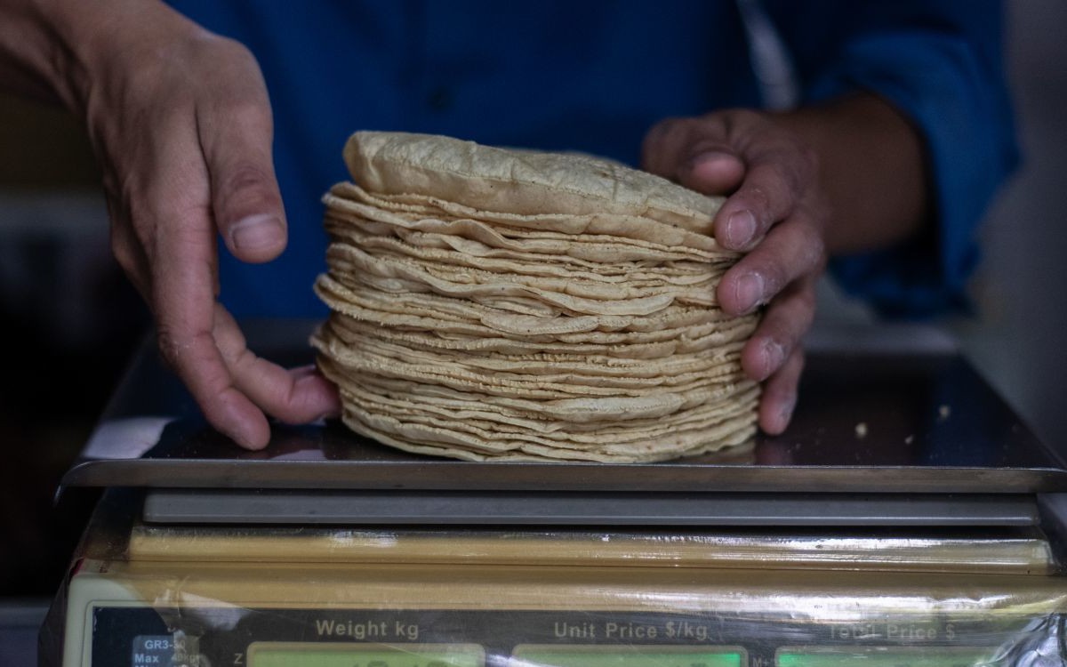 Posible colusión en la venta de tortillas en Huixtla, Chiapas, acusa COFECE