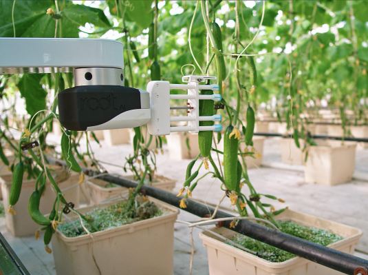 Root AI recauda una ronda de semillas de $ 7.2M para implementar su robot de cosecha en medio de la demanda impulsada por COVID-19