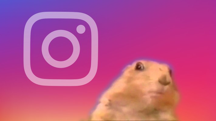 Superzoom de Instagram graba dramáticos primeros planos