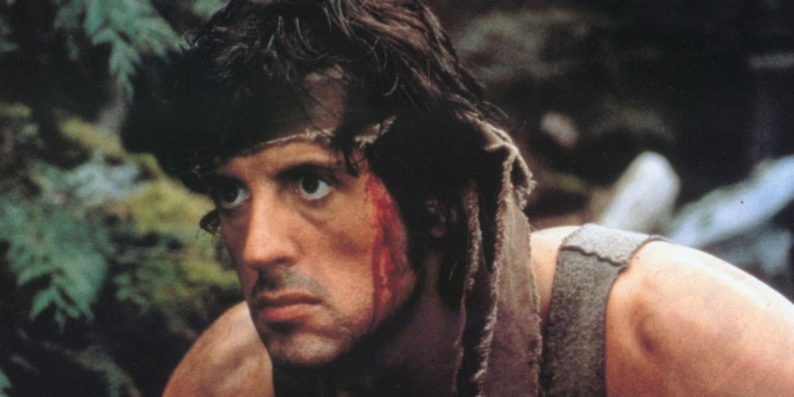 Sylvester Stallone reacciona al adorable bebé gateando en la manta de Rambo