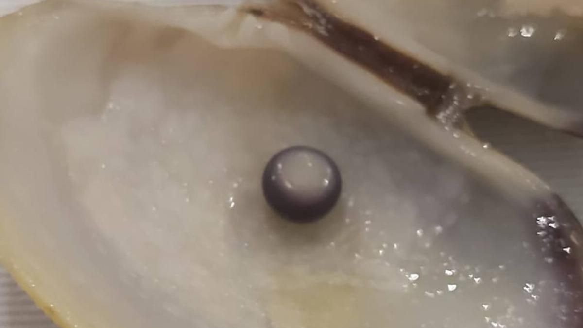 Una pareja encuentra una perla negra en un plato de almejas