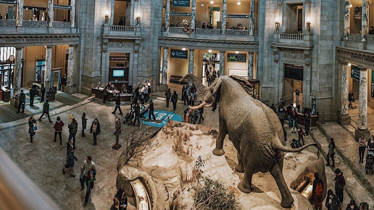 los 5 museos más grandes del mundo