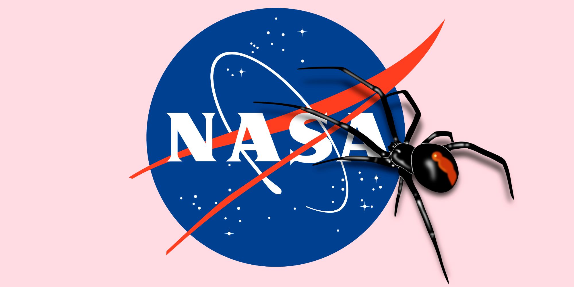 ¿Qué es el experimento de la araña de la NASA y realmente sucedió?