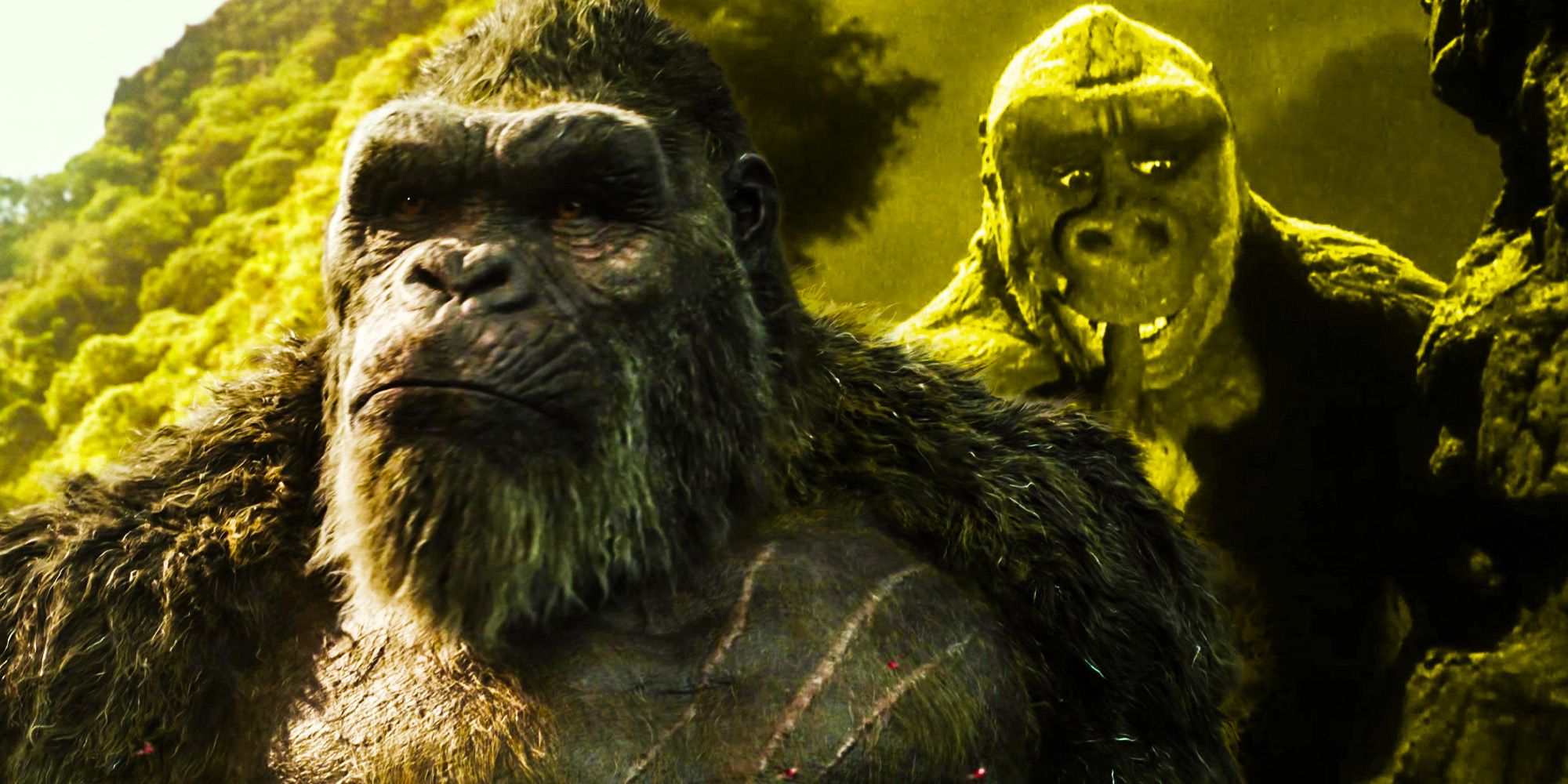¿Quién es el hijo de Kong?  Explicación del título de trabajo de la secuela de GvK y las sugerencias de la historia