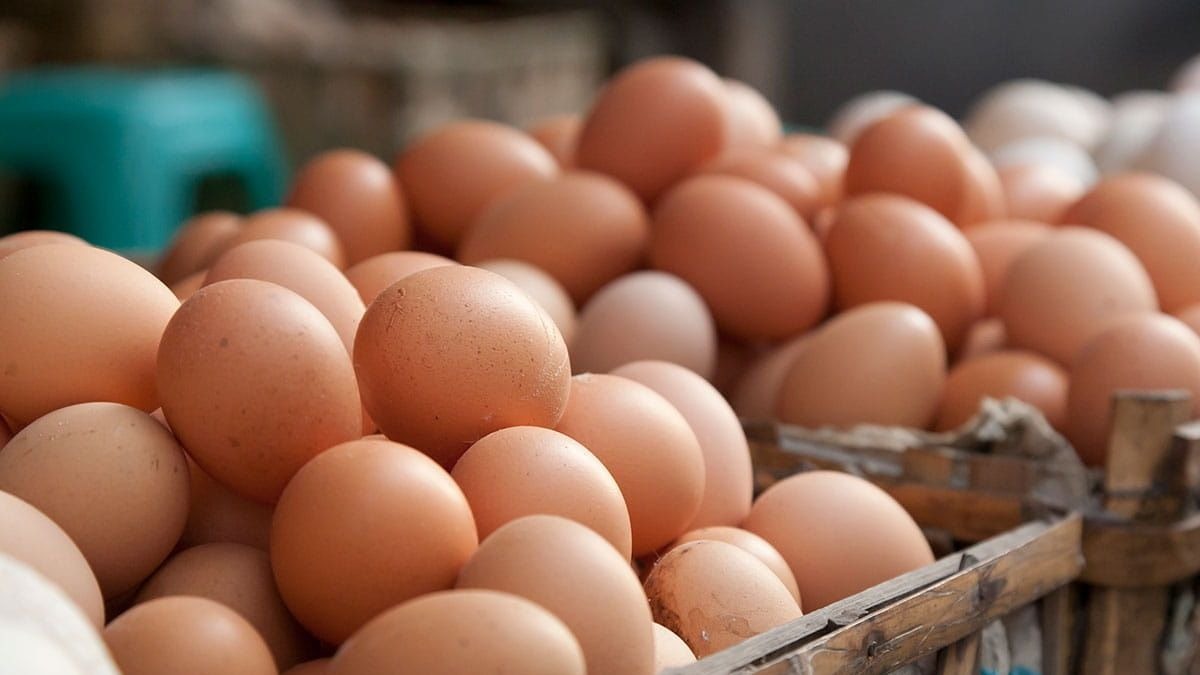¿Se pueden comer huevos con algún defecto? Dos yemas, yema oscura…