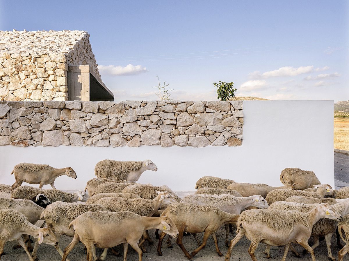 “Mies van der Rohe hoy se asaría de calor”: los arquitectos españoles buscan en los pueblos un futuro sin aire acondicionado ni calefacción