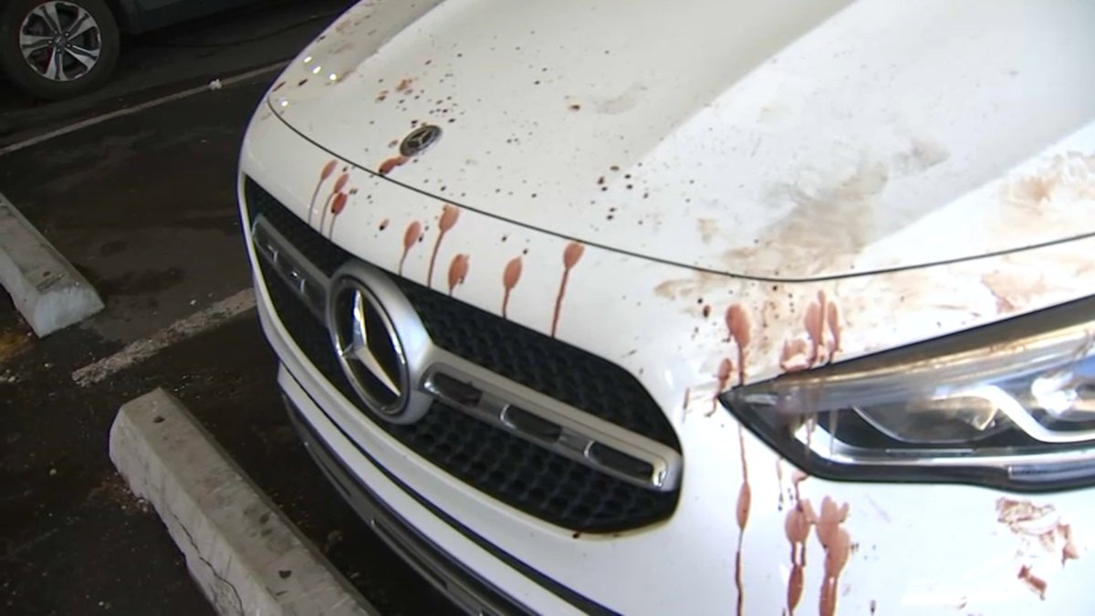 Misteriosa sangre salpicada en estacionamiento de North Arlington, Nueva Jersey