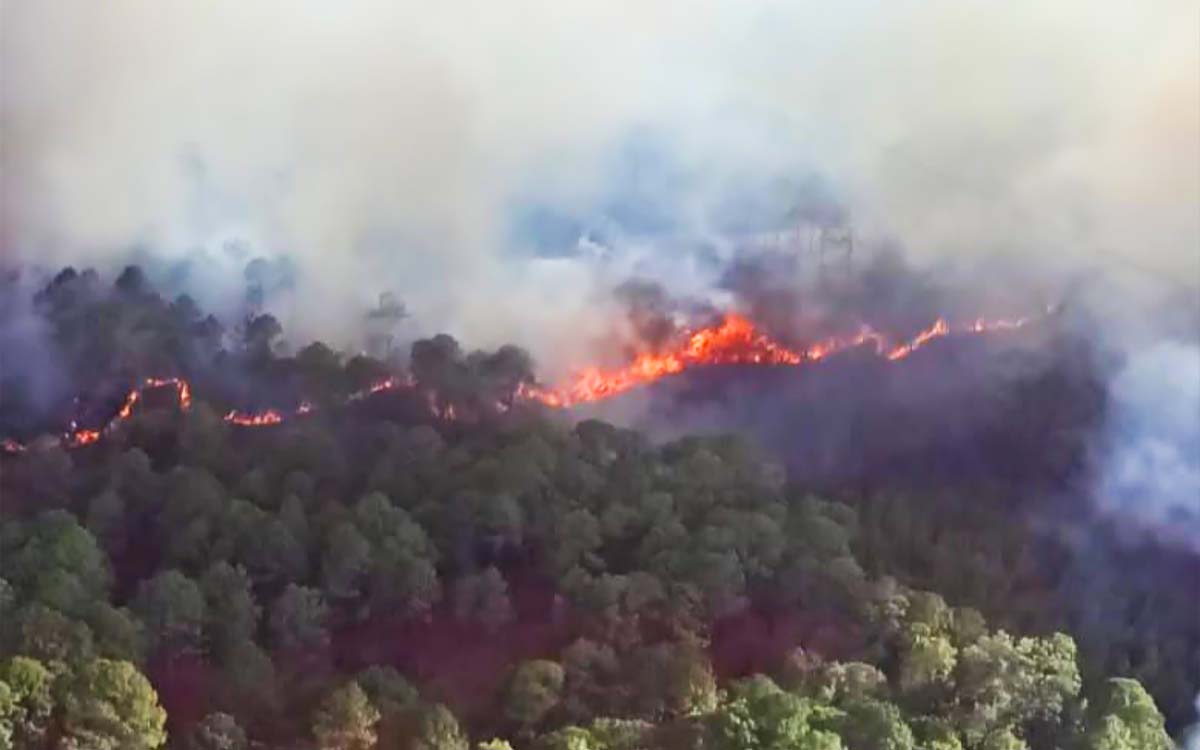 46 incendios forestales activos en México; 8 en áreas naturales protegidas: CONAFOR