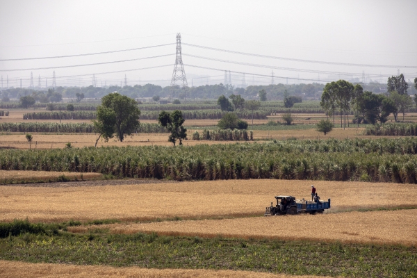 Arya de India recauda $ 60 millones para proporcionar a los agricultores servicios financieros y poscosecha