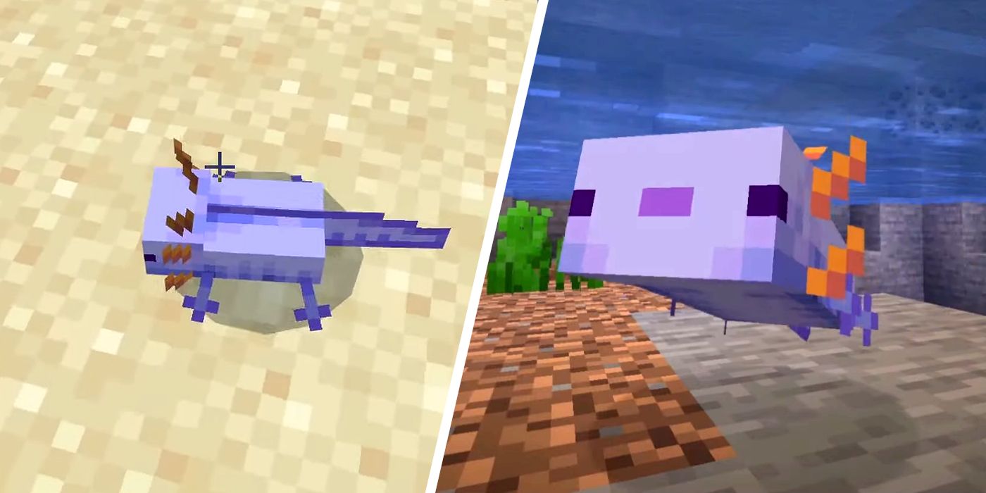 Cómo generar un ajolote azul en cada versión de Minecraft
